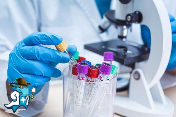 Análisis de Sangre Centro Médico Silos Burgos