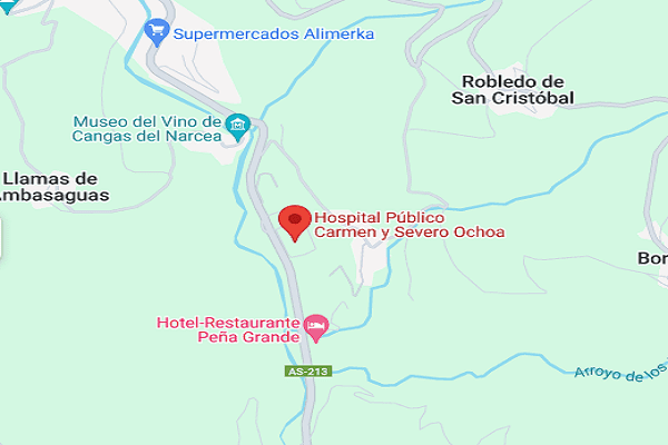 Cómo Llegar a la Hospital Carmen y Severo Ochoa Asturias
